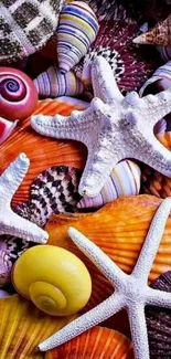 Colorful sea shells and starfish mobile wallpaper.