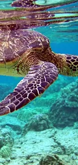 Sea turtle swimming underwater in vibrant ocean scene.