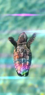 Colorful sea turtle swimming in blue waters.