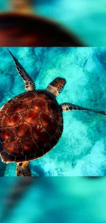 Illustration of a vibrant sea turtle swimming in clear turquoise waters.