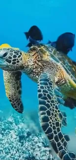 Colorful underwater sea turtle with fish in vibrant ocean.