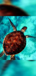 Vibrant sea turtle swimming in turquoise waters.