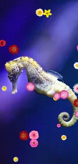 Colorful seahorse on dark purple background.