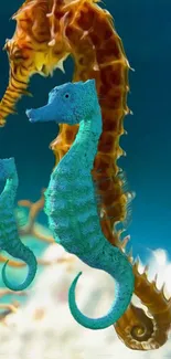 Vibrant seahorse wallpaper with blue and orange hues, ideal for ocean themes.