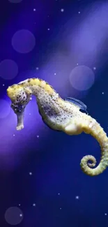 Vibrant seahorse against a dark blue background, perfect for marine-themed decor.