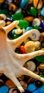 Colorful wallpaper showcasing a seashell and pebbles.