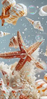 Artistic wallpaper with floating seashells and starfish on a sky blue background.