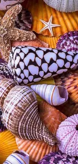 Vibrant mobile wallpaper featuring colorful seashells and starfish.