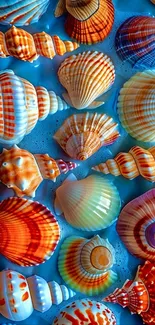 Vibrant seashells on a calming blue background, perfect for mobile wallpaper.