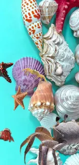 Vibrant seashells and marine life on aqua background wallpaper.