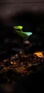 Close-up of a green seedling sprouting from dark soil in a minimalist style.