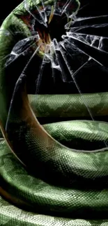 Dramatic green snake with shattered glass effect on dark background.