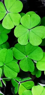 Green shamrock leaves create a vibrant and serene mobile wallpaper design.