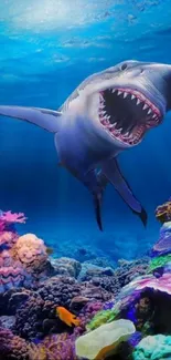 Shark swimming above colorful coral reef underwater.