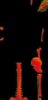 Vibrant red and orange skeleton parts on a black background wallpaper.