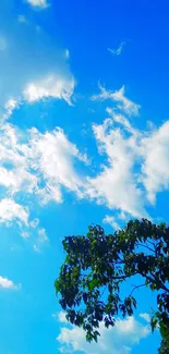 Serene blue sky with clouds and green leaves.