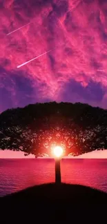 Silhouetted tree with vibrant pink and purple sunset sky background.