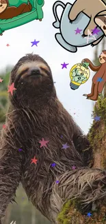 Real sloth with cartoon sloths and stars in a fun wallpaper.