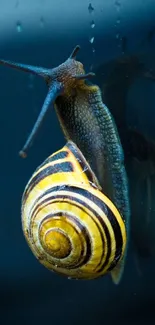 Vibrant snail on glass with a colorful, striped shell in close detail.