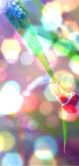 Snail on a dewy leaf with colorful bokeh background.