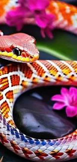 Colorful snake coiled with purple flowers on a dark background.