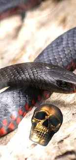 Black and red snake wrapping around a golden skull on wood texture.