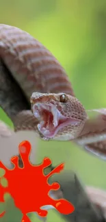 Rustic snake in attack with vibrant colors and red splatter design.