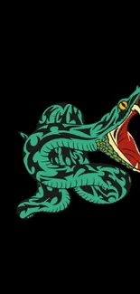 Stylized vibrant snake on a black background wallpaper.