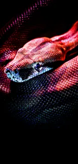 A vibrant snake under neon lights in vivid colors.