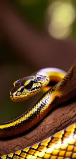 Vibrant yellow snake on jungle tree branch in natural setting.