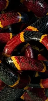 Close-up of colorful snake skin pattern wallpaper.