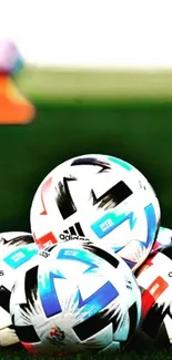 Colorful soccer balls on green grass field.