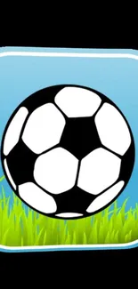 Soccer ball on grass with blue background wallpaper.