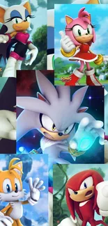 Energetic Sonic characters collage for mobile wallpaper.