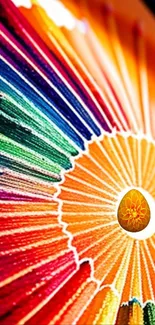 Vibrant circular spectrum of colors on a mobile wallpaper.