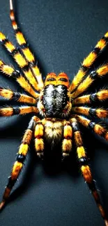 Vibrant spider design on a black background wallpaper.