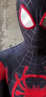 Spider-Man in black and red suit, vibrant design.