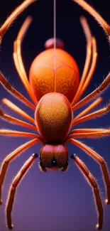 Close-up of vibrant orange spider on gradient background.