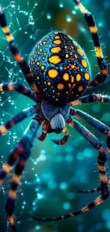 Vibrant spider on an intricate web with colorful patterns.