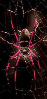 Vibrant spider on an intricate web against a dark background.