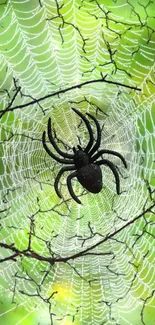 Spider on intricate web with green vibrant background.