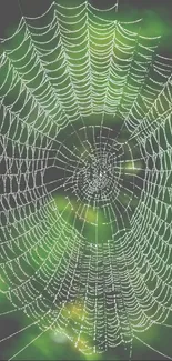 Spider web with vibrant green background and delicate pattern.