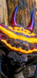 Close-up of a vibrant spiky spider on a branch, featuring bright orange and red hues.