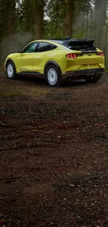 Yellow sports car in a misty forest setting on a rugged path.