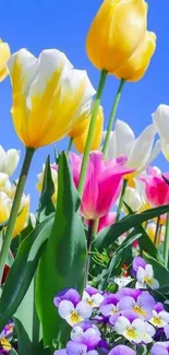 Vibrant tulips and flowers under a clear blue sky.