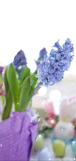 Purple hyacinth flowers in spring bloom, soft and vibrant.