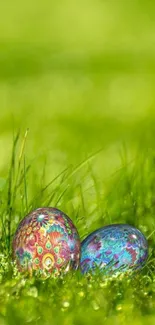 Colorful Easter eggs on green grass.