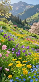 Colorful spring flower meadow with mountains in background.