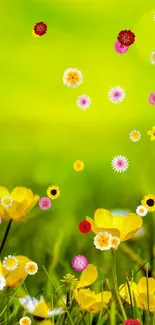 Yellow flowers in a vibrant green meadow wallpaper.