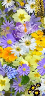 Colorful spring flowers in a vibrant display.